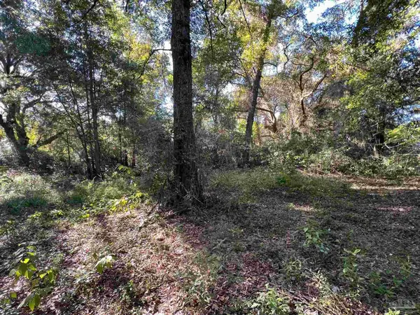 3979 Whitehall Dr, Pace, FL 32571