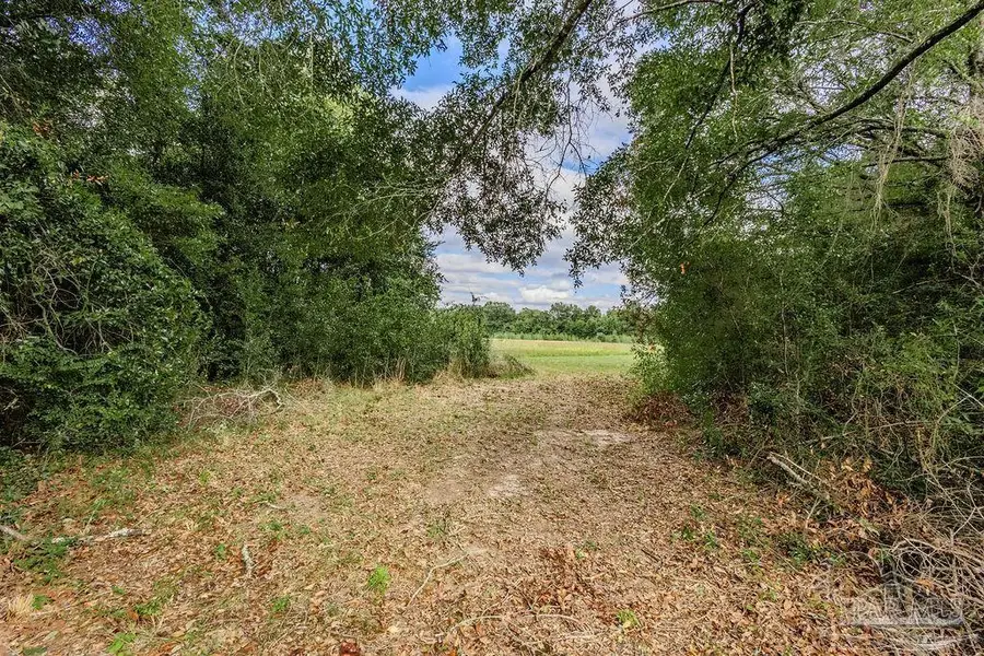 13.95 Carlyn Dr, Pace, FL 32571 - Image #2