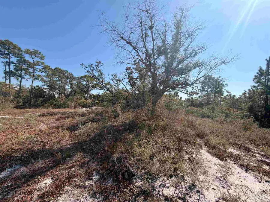 13000 Gongora Dr, Perdido Key, FL 32507 - Image #2