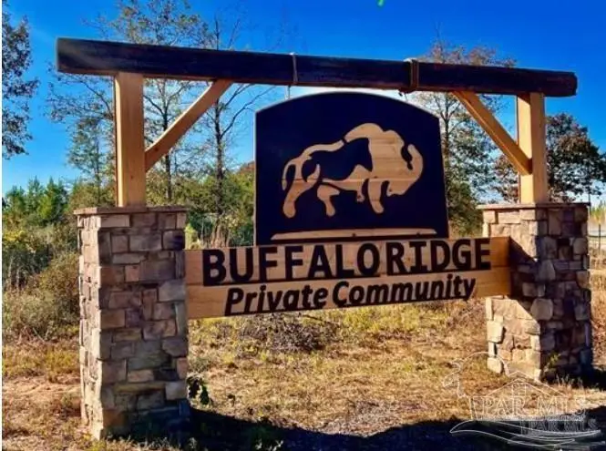 Lot 17 BS Buffalo Ridge Rd, Pace, FL 32571 - Image #1