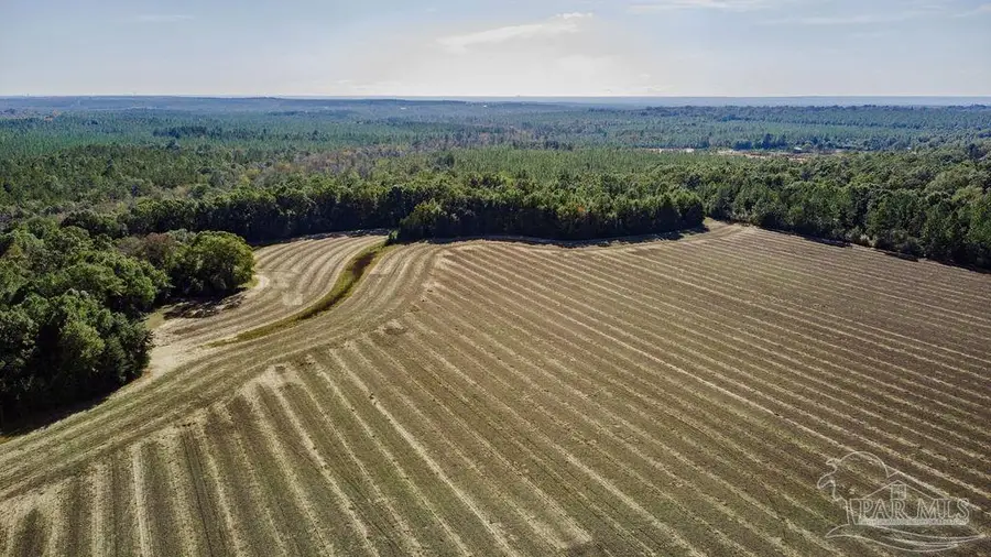 1A Segrest Rd, Pace, FL 32571 - Image #3