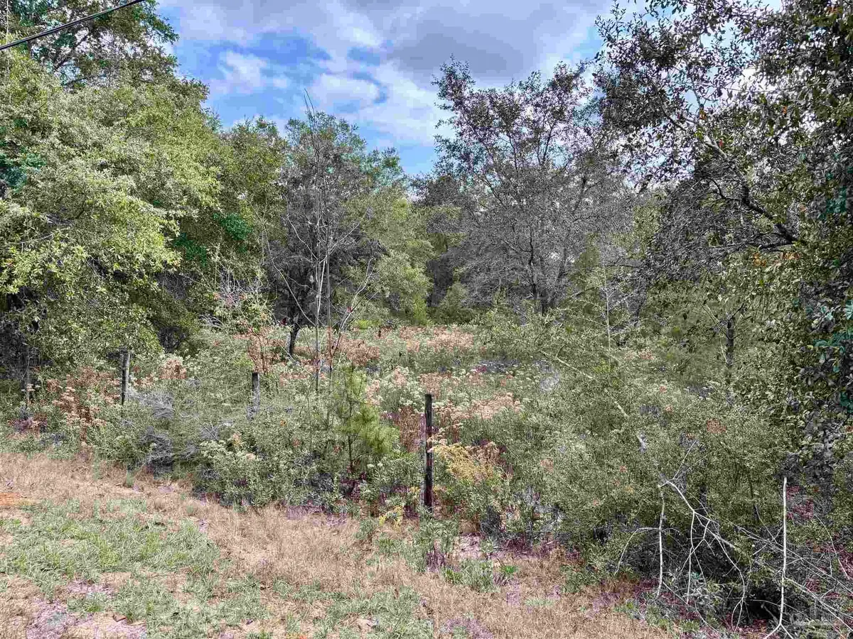0000 Trammel Dr, Milton, FL 32570 - Image #1