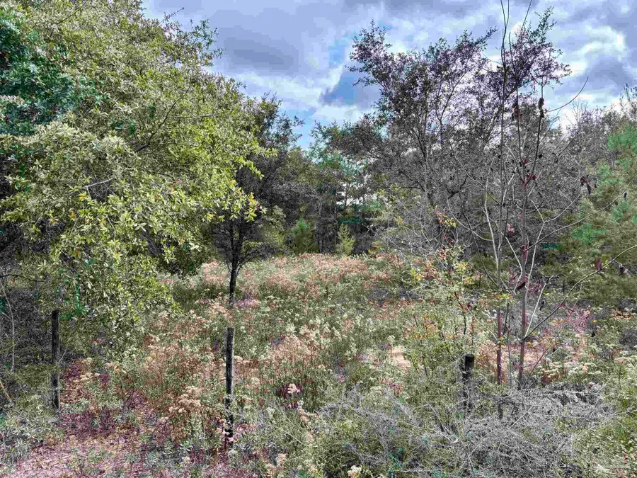 0000 Trammel Dr, Milton, FL 32570 - Image #2
