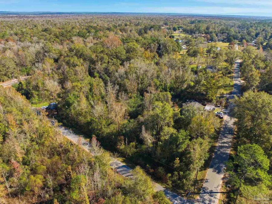 1100 Mckinnonville Rd, Molino, FL 32577 - Image #3