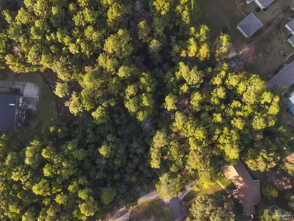 Amber Way, Pace, FL 32571