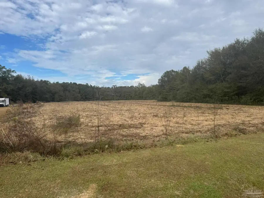 Lot 1 Freemanville Dr, Atmore, AL 36502 - Image #2