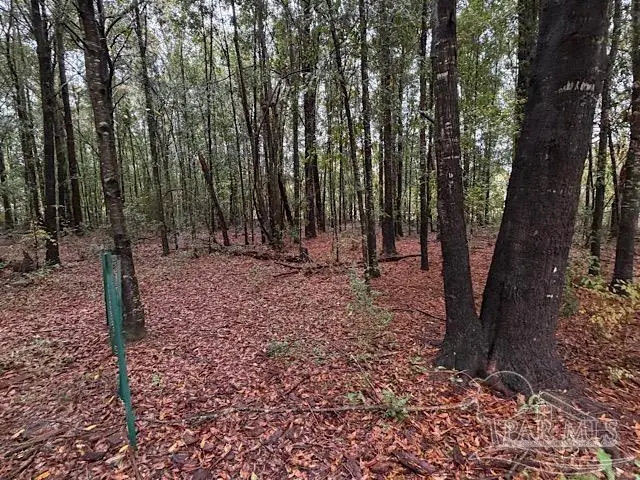 3218 Archies Way, Pace, FL 32571 - Image #2