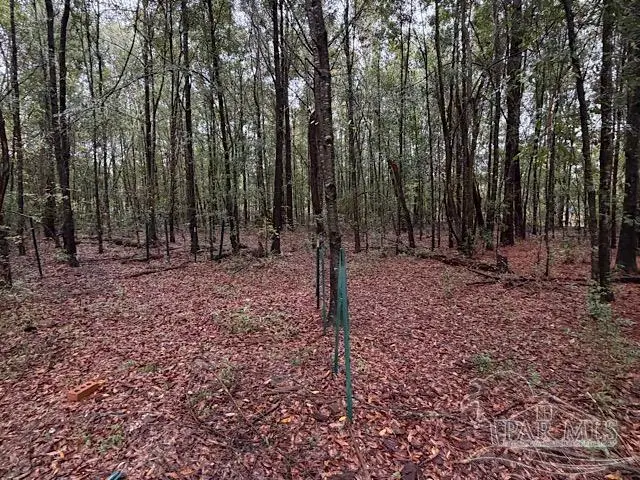 3218 Archies Way, Pace, FL 32571 - Image #3