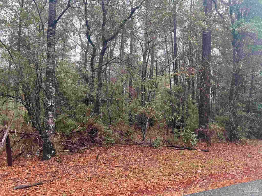 68000 Block Scranage Rd, Atmore, AL 36502 - Image #2