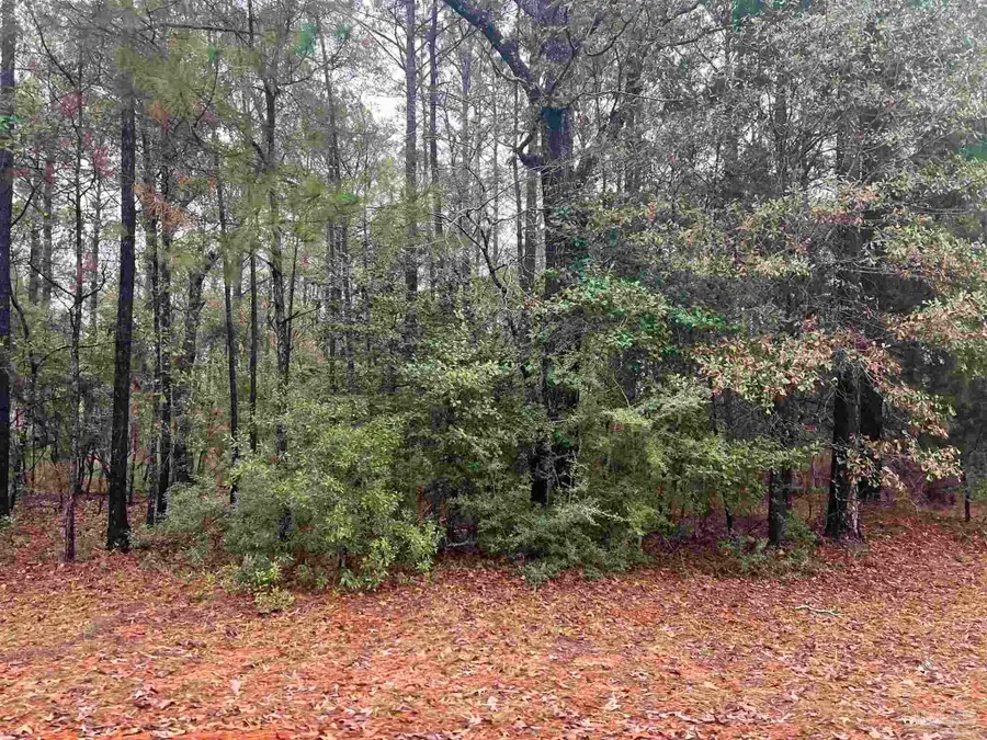 68000 Block Scranage Rd, Atmore, AL 36502 - Image #3