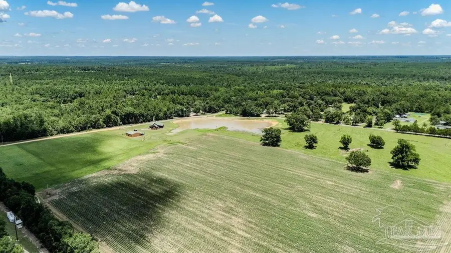 39 Preacher Ln, Jay, FL 32565 - Image #3