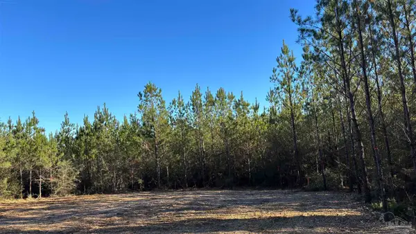 lot 57 Straw Bridge Rd, Allentown, FL 32565