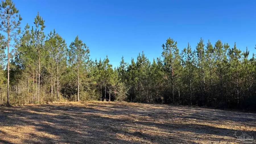 lot 59 Straw Bridge Rd, Allentown, FL 32565 - Image #2