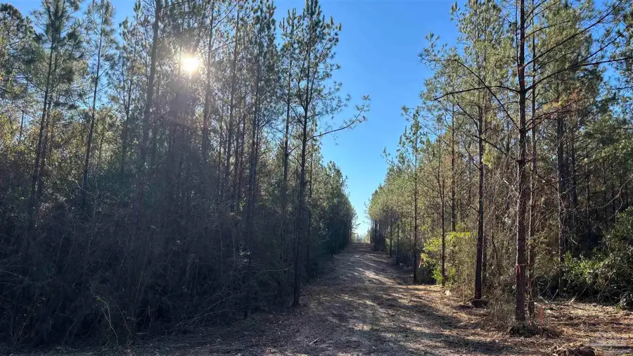 lot 60 Straw Bridge Rd, Allentown, FL 32565 - Image #3