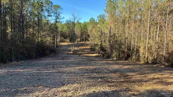 lot 72 Straw Bridge Rd, Allentown, FL 32565