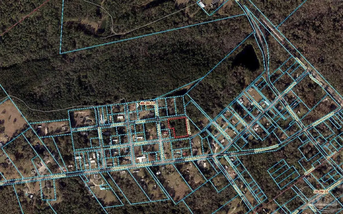 TBD Jocobi At Trimmer Rd, Molino, FL 32577 - Image #1
