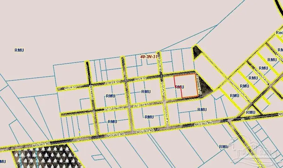 TBD Jocobi At Trimmer Rd, Molino, FL 32577 - Image #2