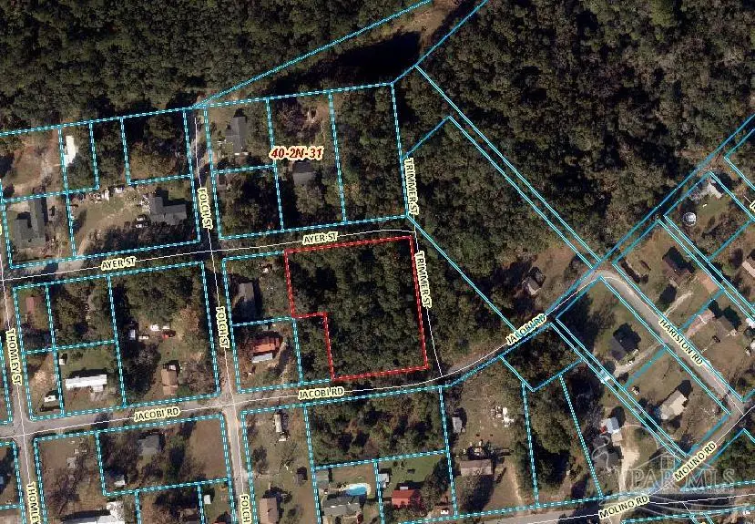 TBD Jocobi At Trimmer Rd, Molino, FL 32577 - Image #3