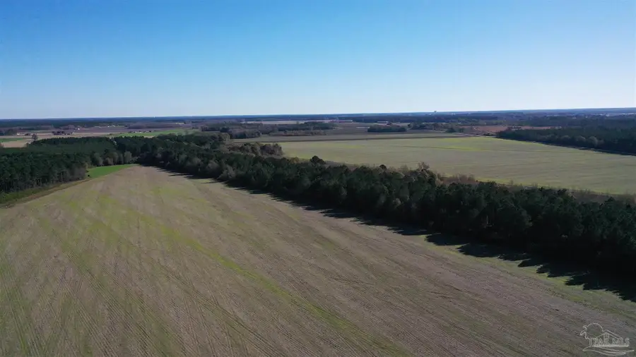 0 Three Mile Rd, Atmore, AL 36502 - Image #3