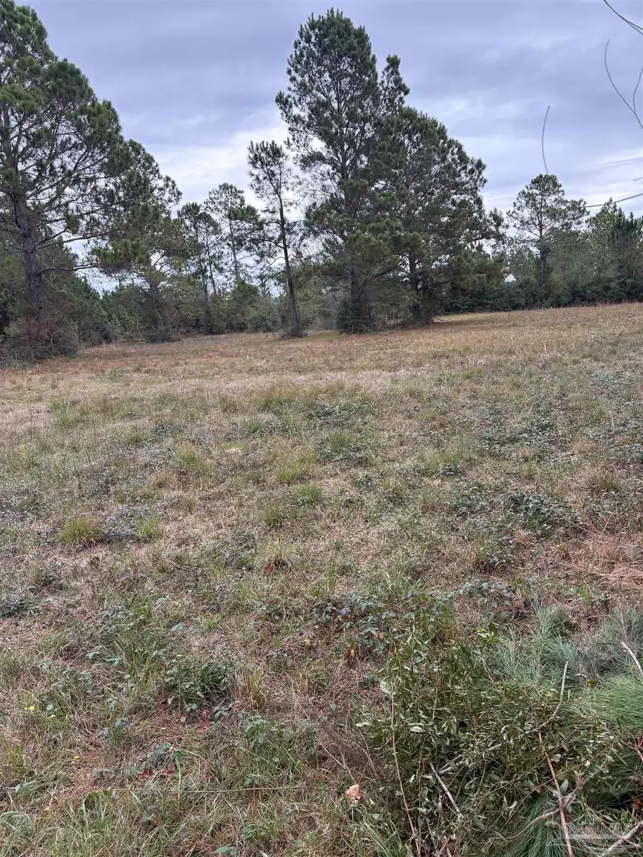 31849 Randolph Ave, Lillian, AL 36549 - Image #2