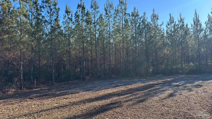 Lot 4 Hwy 89, Allentown, FL 32565 - Image #2