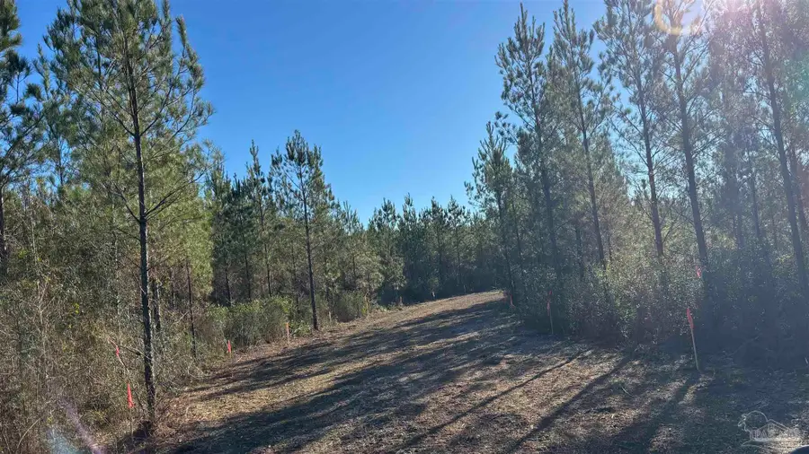 Lot 3 Hwy 89, Allentown, FL 32565 - Image #3