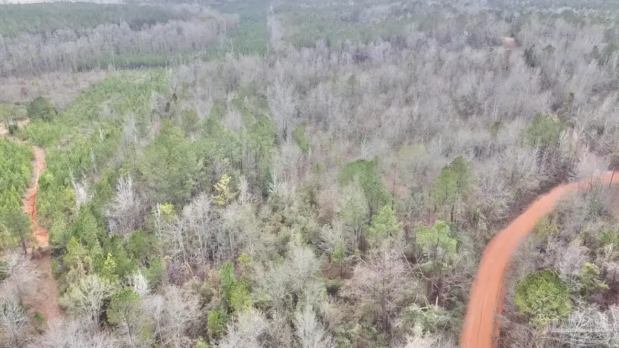 21000 Block Hwy 21, Beatrice, AL 36425 - Image #2