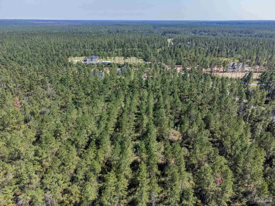 002 Sage Forest Ln, Pace, FL 32571 - Image #2