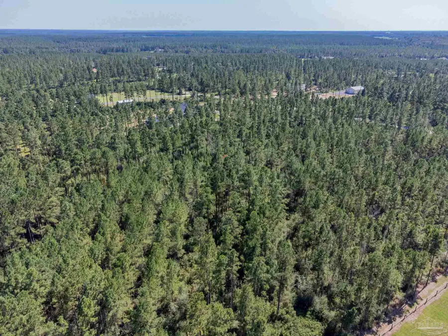 002 Sage Forest Ln, Pace, FL 32571 - Image #3