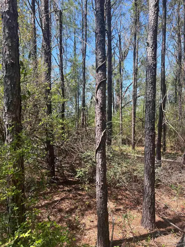 00 Dykestown Rd, Jay, FL 32565