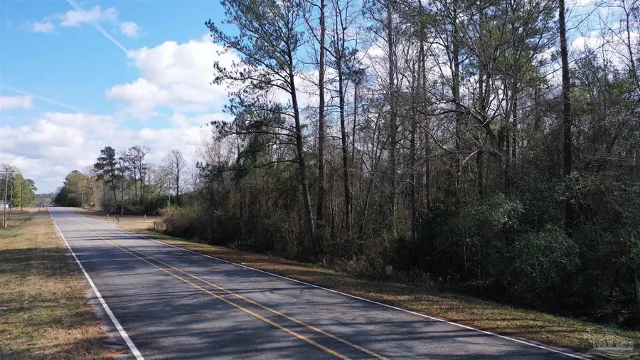 818 Twin Bridges Rd, Flomaton, AL 36441 - Image #3