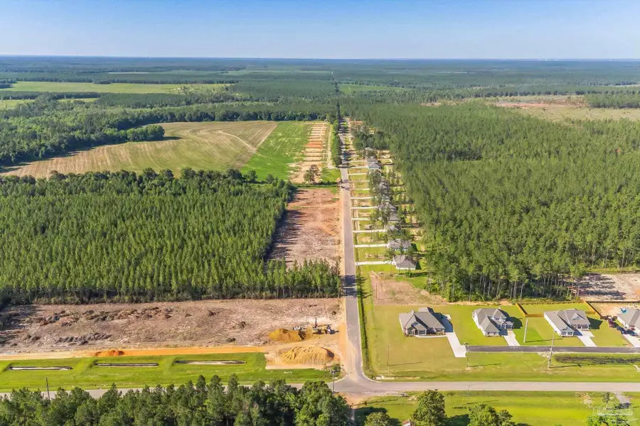 9236 Three Hollow Rd, Jay, FL 32565 - #3