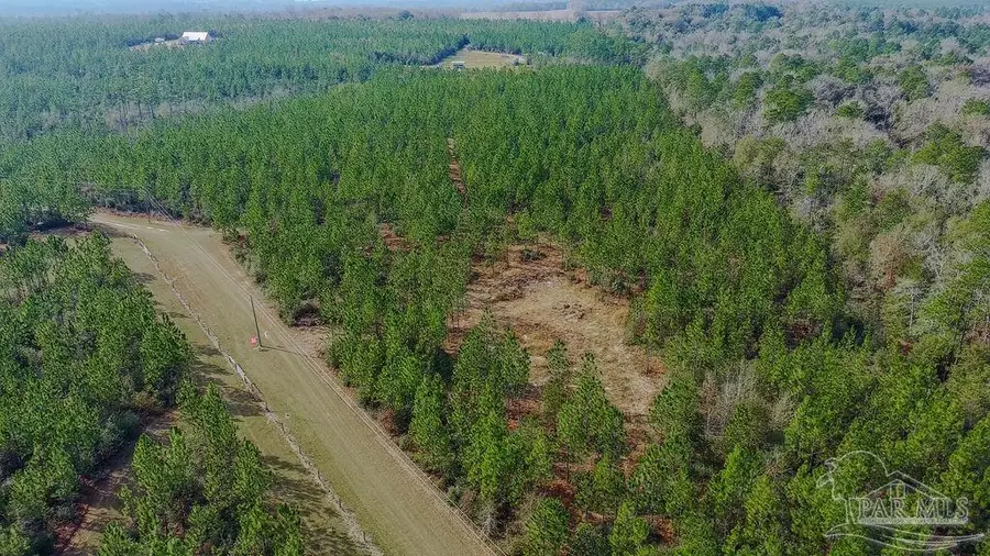 0 Mustard Seed Ln, Milton, FL 32583 - Image #2