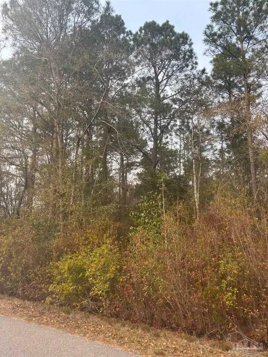 no address Balkom St, Milton, FL 32583 - #2