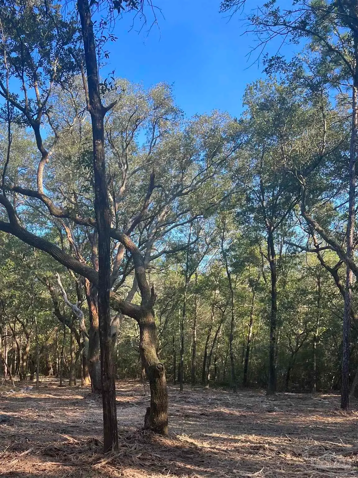 9499 Cornfield Way, Milton, FL 32583 - Image #1