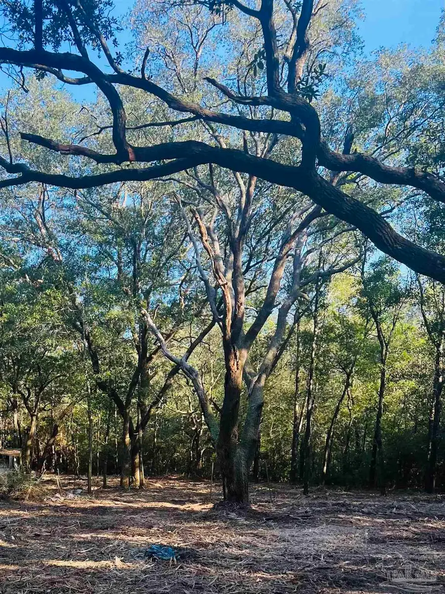 9499 Cornfield Way, Milton, FL 32583 - Image #2