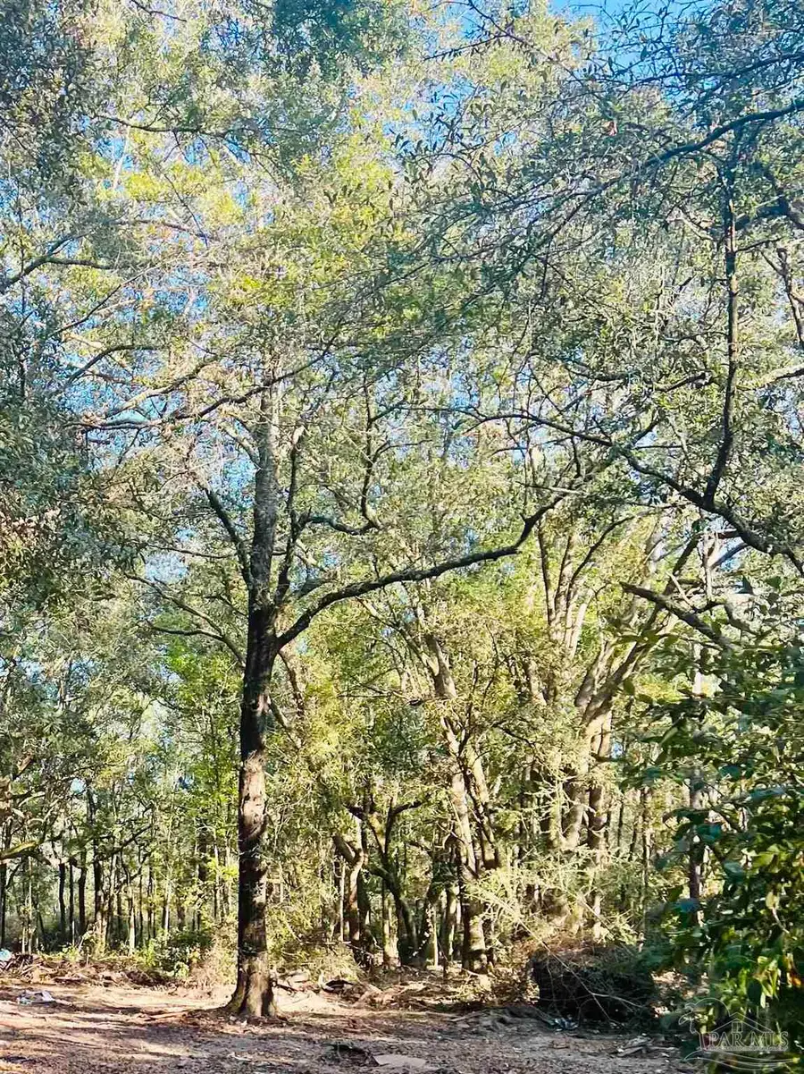 9499 Cornfield Way, Milton, FL 32583 - Image #3