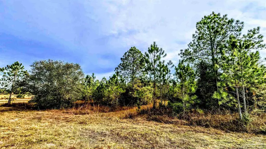 0 Royal Ln #Lot 1, Elberta, AL 36530 - Image #3