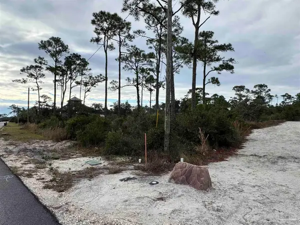 13000 Gongora Dr, Perdido Key, FL 32507