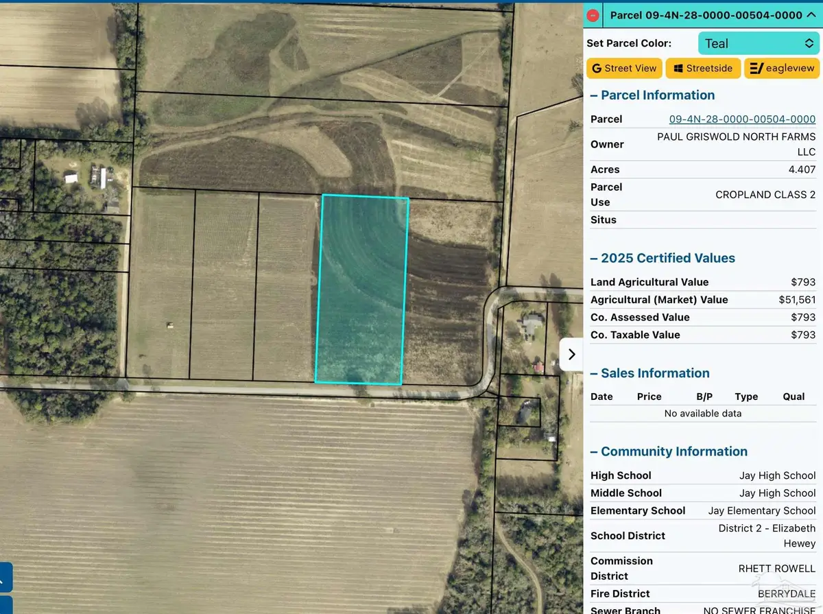 D E Lovett Rd, Jay, FL 32565 - Image #1