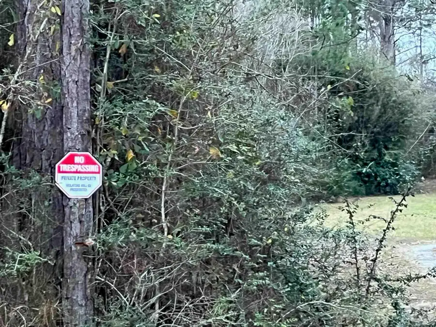 10001 Isaacs Ln, Pensacola, FL 32526 - Image #2