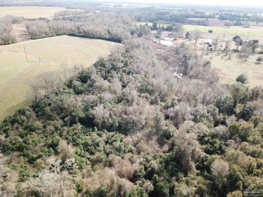 4+ acres Hwy 4, Jay, FL 32565 - Image #3