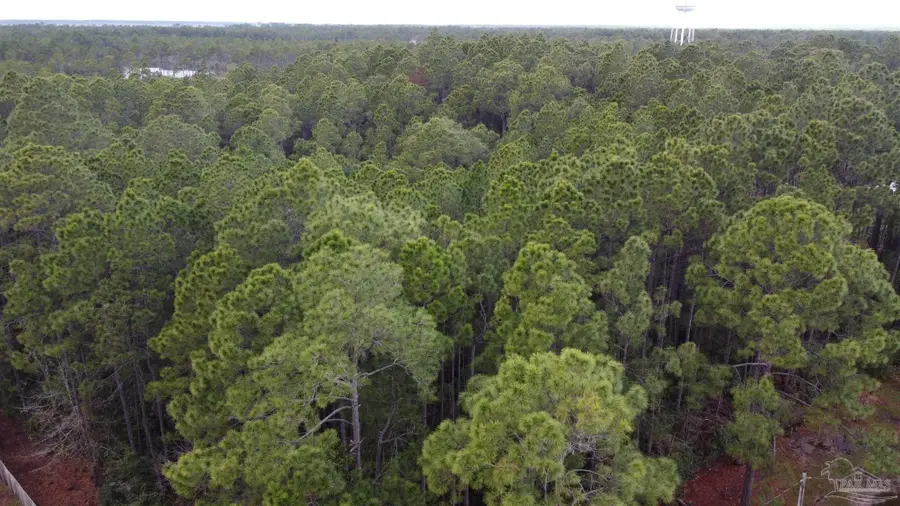 0000 Nowling Dr, Milton, FL 32583 - Image #3