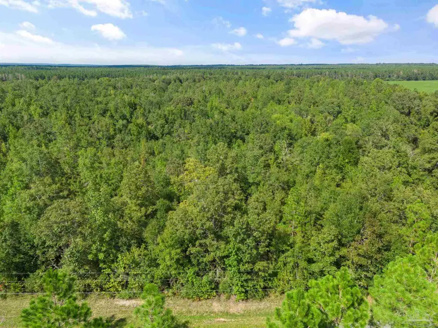 453 Mineral Springs Rd, Jay, FL 32565 - Image #2