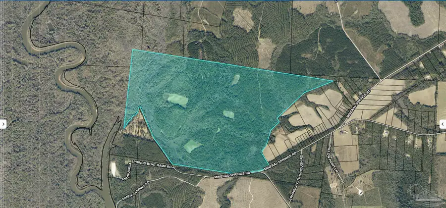453 Mineral Springs Rd, Jay, FL 32565 - Image #3