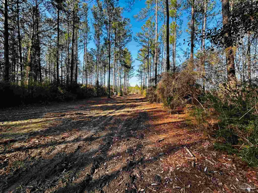 Lot 407 Country Mill Rd, Jay, FL 32565 - Image #3