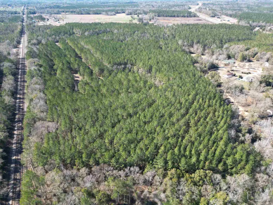 0 Old Fannie Rd, Flomaton, AL 36441 - #3