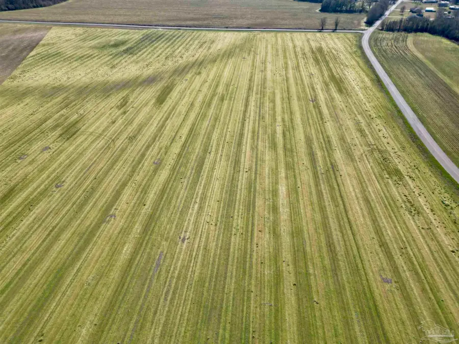 5 Cowpen Creek Rd, Atmore, AL 36502 - #2