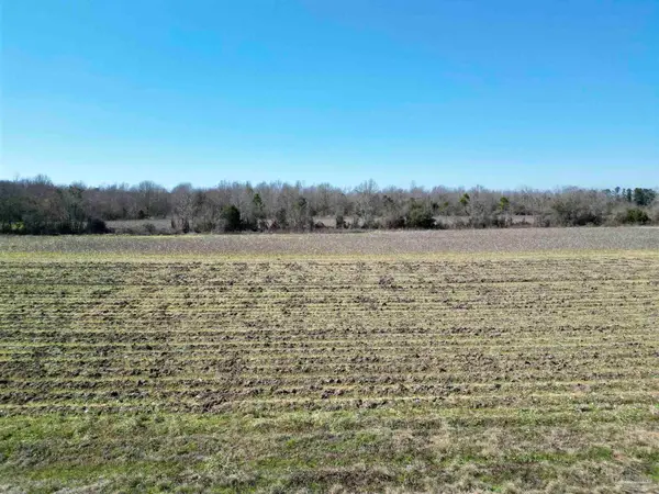 2 Cowpen Creek Rd, Atmore, AL 36502