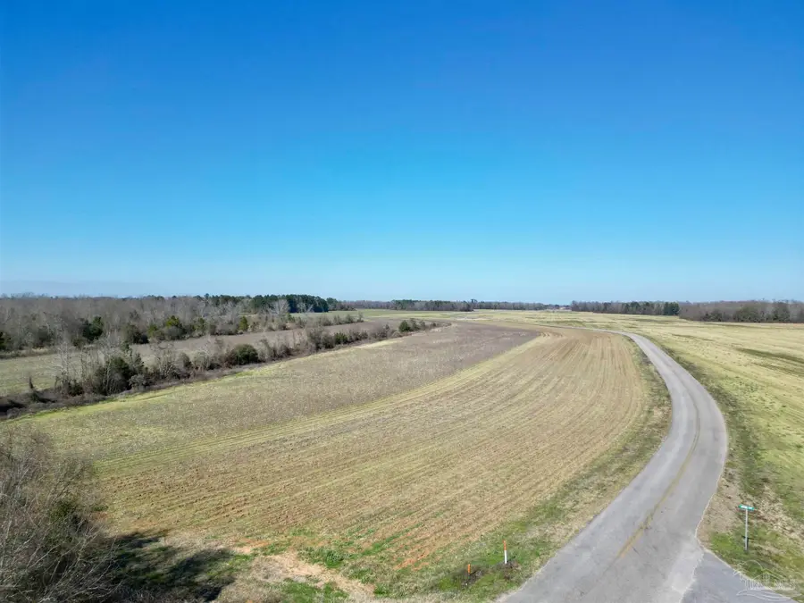 2 Cowpen Creek Rd, Atmore, AL 36502 - #2